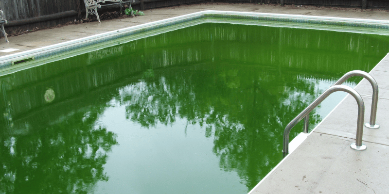 Remove Algae From Pool