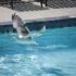 Best Pool Vacuum for Vinyl Liner