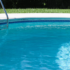 How to Keep Wasps Away From the Pool?