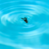 How Much Liquid Chlorine to Add to Pool?