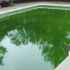 How Much Liquid Chlorine to Add to Pool?